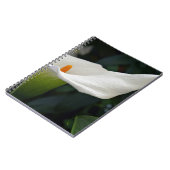 Calla Lily.JPG Notizblock (Linke Seite)
