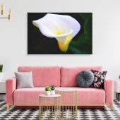 Calla Lily Leinwanddruck (Insitu (Wohnzimmer))