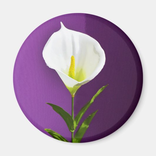 Calla Lily Magnet (Vorne)