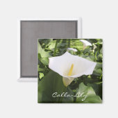 Calla-Lily Magnet (Vorderseite/Rückseite)