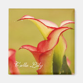 Calla Lily Magnet (Vorne)