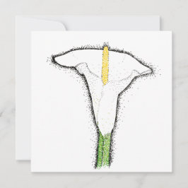 Calla Lily Mitteilungskarte