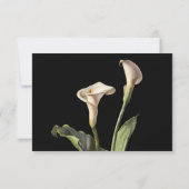 Calla Lily Moderne UAWG RSVP Karte (Rückseite)