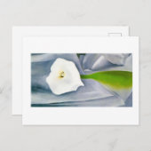 Calla Lily on Gray, Georgia O'Keeffe Postkarte (Vorne/Hinten)
