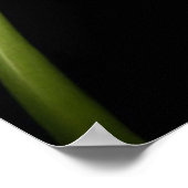 Calla Lily Poster (Ecke)