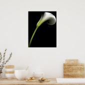 Calla Lily Poster (Küche)