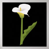 CALLA LILY POSTER (Vorne)