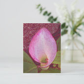 Calla Lily Postkarte (Stehend Vorderseite)