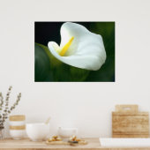 Calla Lily Print Poster (Küche)