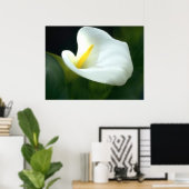 Calla Lily Print Poster (Heimbüro)