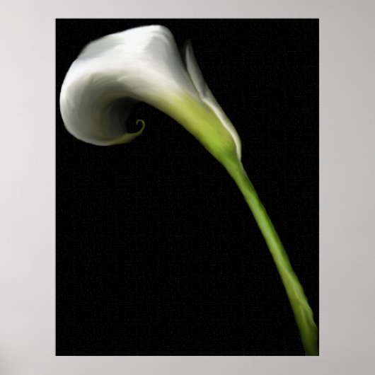 Calla Lily Prints Poster (Vorne)