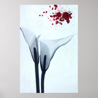 Calla Lily Röntgen Poster