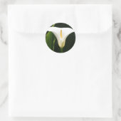 Calla Lily Runder Aufkleber (Tasche)