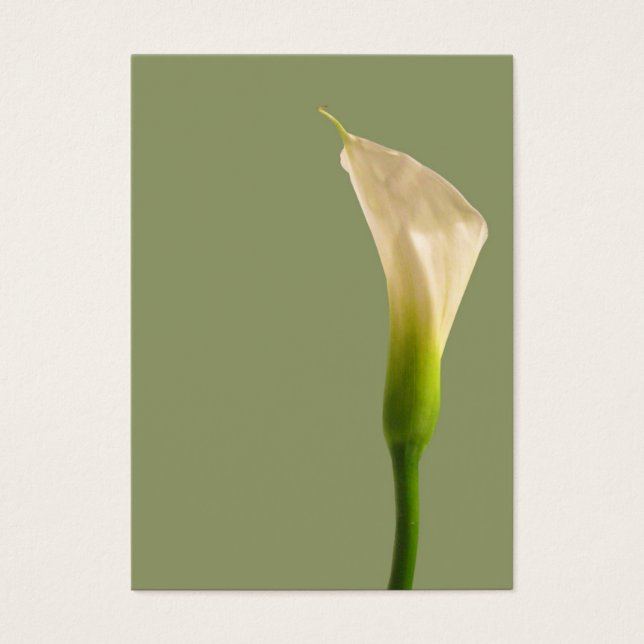 Calla lily Sage Green Card (Vorderseite)