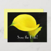Calla Lily Save the Date Postcard Ankündigungspostkarte (Vorne/Hinten)