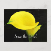 Calla Lily Save the Date Postcard Ankündigungspostkarte (Vorderseite)