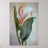 Calla Lily Schöne botanische Kunst Poster (Vorne)