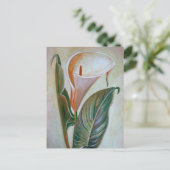 Calla Lily Schöne botanische Kunst Postkarte (Stehend Vorderseite)