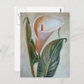 Calla Lily Schöne botanische Kunst Postkarte (Vorne/Hinten)
