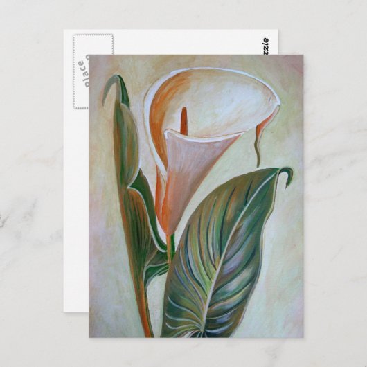 Calla Lily Schöne botanische Kunst Postkarte (Vorne/Hinten)