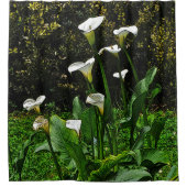 "CALLA LILY" SHOWER CURTAIN DUSCHVORHANG (Vorderseite)