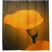 Calla Lily Warm Gelbe Nebel Hintergrund Duschvorhang (Vorderseite)