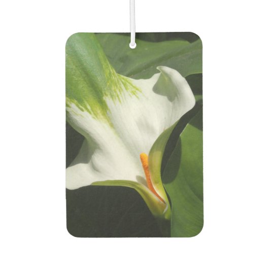 Calla Lily, Zantedeschia Autolufterfrischer (Vorderseite)