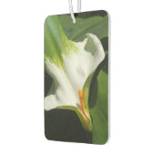 Calla Lily, Zantedeschia Autolufterfrischer (Links)