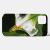 Calla Lily, Zantedeschia Case-Mate iPhone Hülle (Rückseite (Horizontal))