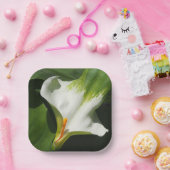 Calla Lily, Zantedeschia Pappteller (Party)