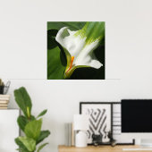 Calla Lily, Zantedeschia Poster (Heimbüro)