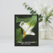 Calla Lily, Zantedeschia Postkarte (Stehend Vorderseite)