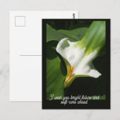 Calla Lily, Zantedeschia Postkarte (Vorne/Hinten)