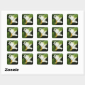 Calla Lily, Zantedeschia Quadratischer Aufkleber (Blatt)