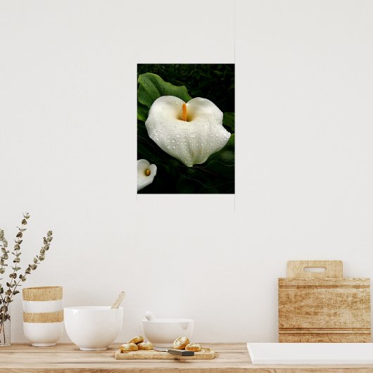 Calla Lilys Poster (Küche)