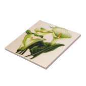 Calla lis fliese (Seite)