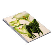Calla lis notizblock (Rechte Seite)