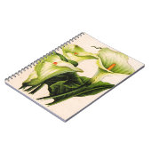 Calla lis notizblock (Linke Seite)