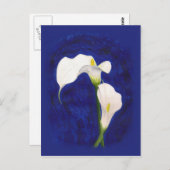 calla lis postcard postkarte (Vorne/Hinten)