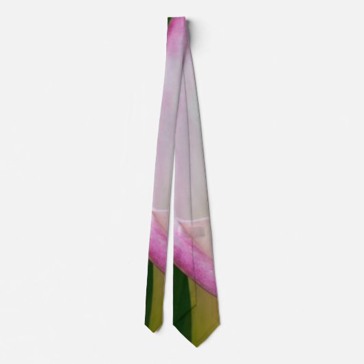 Calla Pano Neck Tie Krawatte (Rückseite)