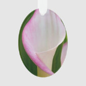Calla Pano Ornament (Vorderseite)