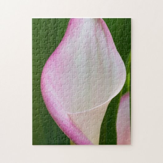 Calla Pano Puzzle (Vertikal)