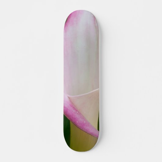 Calla Pano Skateboard (Vorne)