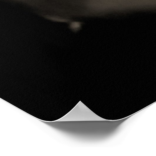 Calla Poster (Ecke)