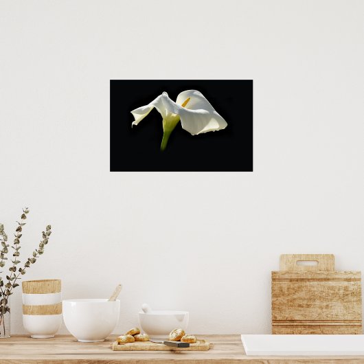 Calla Poster (Küche)