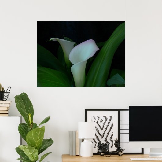 Calla Poster (Heimbüro)