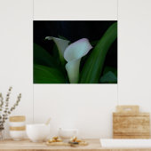 Calla Poster (Küche)
