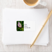 Calla Roll Address Label Adressaufkleber (Insitu)