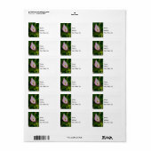 Calla Roll Address Label Adressaufkleber (Vorne)