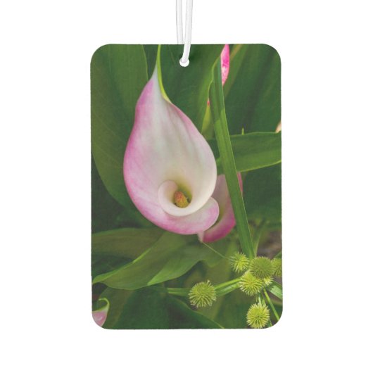Calla Roll Autolufterfrischer (Rückseite)